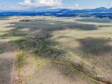 TBD Deer Springs Cir, Westcliffe, CO 81252 - photo 5