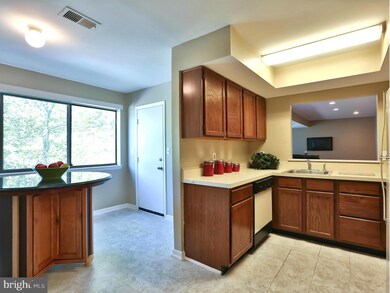 8009 Greenspring Way unit E, Owings Mills, MD 21117 - photo 4