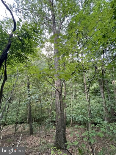 0 Mill Hill Rd, Warfordsburg, PA 17267 - photo 5