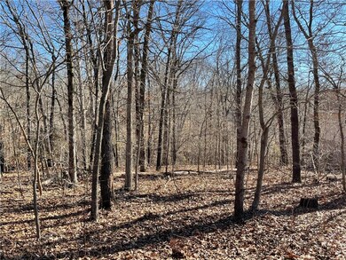 0 Campbell Ln, Bella Vista, AR 72715 - photo 5