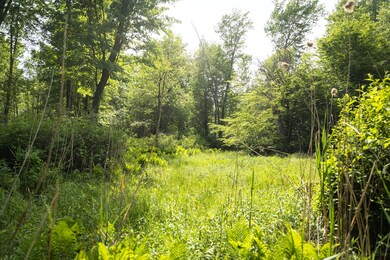 Taylor Rd. 3