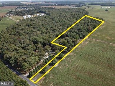 18938 Asketum Branch Rd, Georgetown, DE 19947 - photo 4