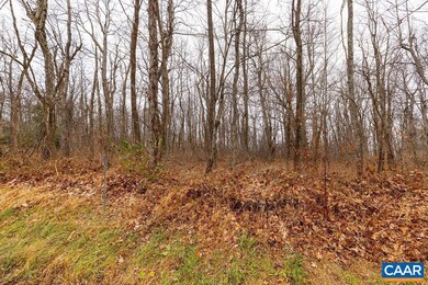 579 Laurel Springs Dr unit PRYOR CAMP II 25, Roseland, VA 22967 - photo 2