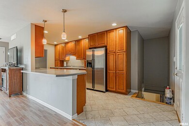 1513 Rutledge Dr, Lincoln, IL 62656 - photo 6