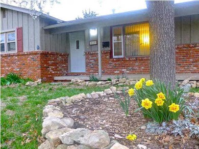 Spring has already sprung. Daffodils...