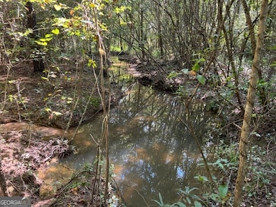 0 Lipham Rd unit 10505011, Franklin, GA 30217 - photo 5