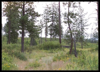 0000 W Highland Rd, Nine Mile Falls, WA 99026 - photo 2