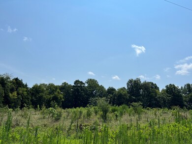 0 Lake Bluff Rd unit RTC2414057, Baxter, TN 38544 - photo 2