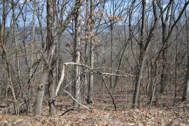 Lot 3 Plateau Ln, Kimberling City, MO 65686 - photo 5