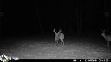 185th St, Trenton, IA 52641 - photo 5