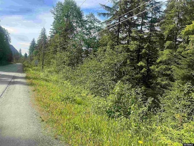 20165 Glacier Hwy, Juneau, AK 99801 - photo 4