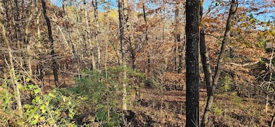 TBD Wooten Rd Rd, West Fork, AR 72774 - photo 5