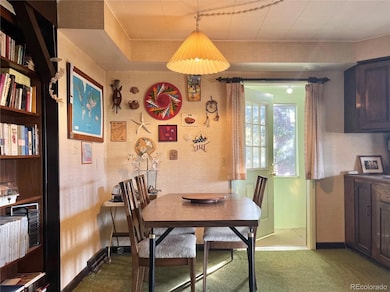 160 S Circle Dr, Bailey, CO 80421 - photo 6