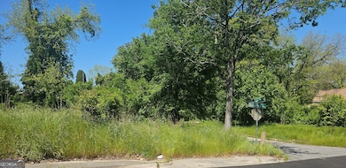 561 Rutherford Ave, Macon, GA 31206 - photo 3