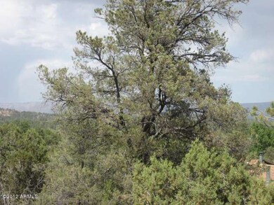 Mogollon Rim views