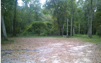 2227 SW Santa fe Dr, Fort White, FL 32038 - photo 4