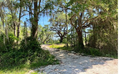 38 NW Treeline Glen, Lake City, FL 32055 - photo 4