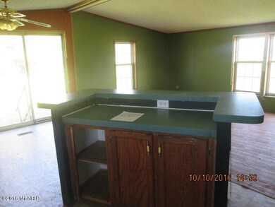 4481 Division St, Wayland, MI 49348 - photo 4