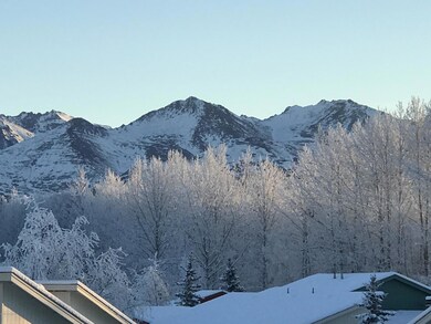 View from Master bd