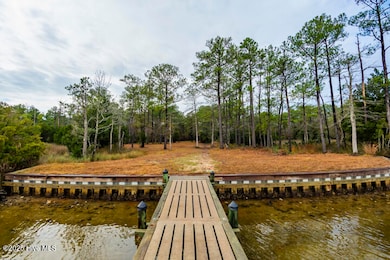 202 Mills Rd, Oriental, NC 28571 - photo 3