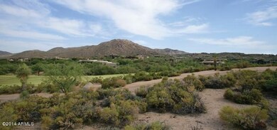 North Views