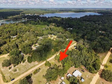 206 N Helmers Ave, Interlachen, FL 32148 - photo 4