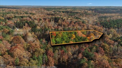 7-DJI_20251109140128_0436_DPL