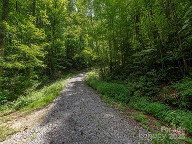000 Flowing Brook Ln unit 6, Waynesville, NC 28786 - photo 4