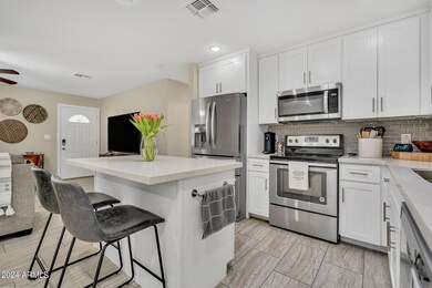 1049 E Dolphin Ave, Mesa, AZ 85204 - photo 5