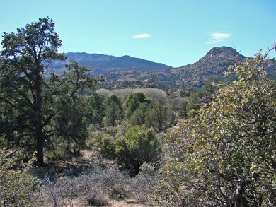 Mountain Views