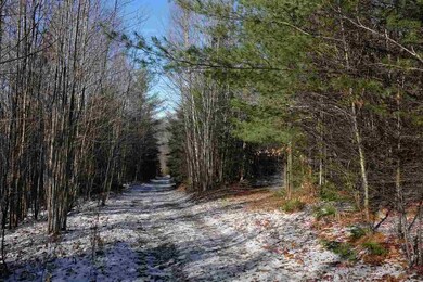 5-23 N Littleton Rd, Littleton, NH 03561 - photo 4