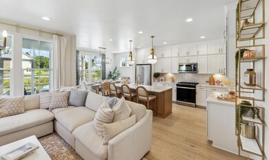 Luca Open COncept