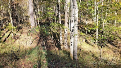 000 Cabin Hill Rd, Green Mountain, NC 28740 - photo 6