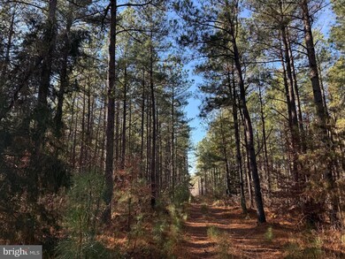0 Longwood Dr unit VALA2007086, Louisa, VA 23093 - photo 5