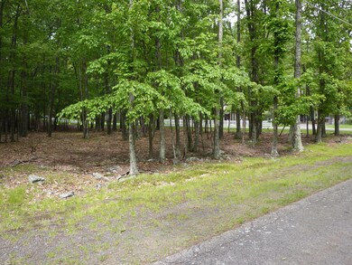 892 / 893 Pico Ln, Blooming Grove Township, PA 18464 - photo 4