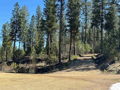 Lot 24 Block 1 Elk Run, Idaho City, ID 83631 - photo 6