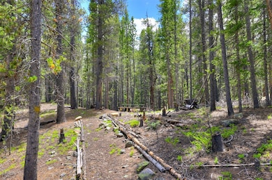 2221 Kootchie Rd, Alma, CO 80420 - photo 7