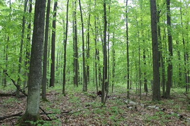 IMG_4165