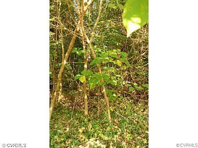 00 Edgar Rd, Ruther Glen, VA 22546 - photo 6