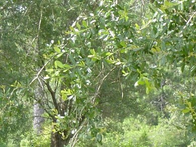 2512 Sweet Heart Ln, Pensacola, FL 32526 - photo 7