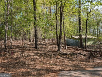 0 Hayes Dr unit 1 10476100, Gainesville, GA 30506 - photo 4