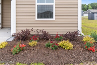 Front Landscaping