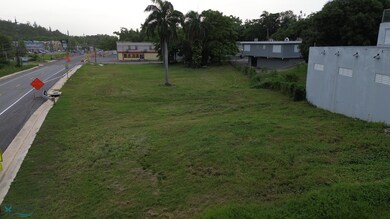 10 Desvio Sur, Aguada, PR 00602 - photo 2