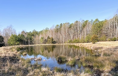 312 Timms Mill Rd, Williamston, SC 29697 - photo 3