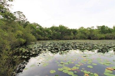 Lot 3 Three Sisters Rd, Crawfordville, FL 32327 - photo 6