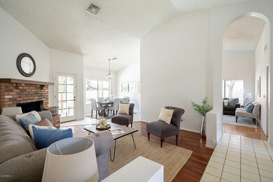 Hackamore-6