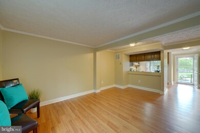 6011 Rowanberry Dr, Elkridge, MD 21075 - photo 5