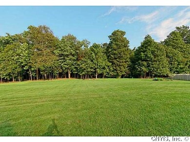 Backyard. View a unique forest that is DEC protect