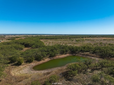 TBD U S Highway 83, Ovalo, TX 79541 - photo 2