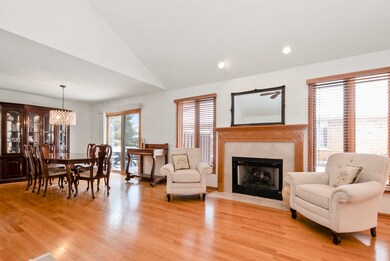 10502 San Luis Ln, Orland Park, IL 60467 - photo 6